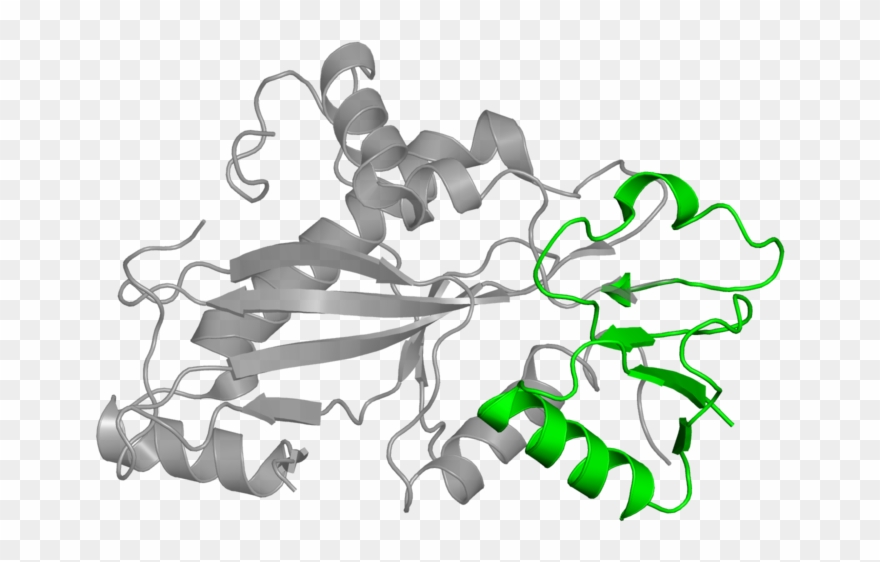 <div Class='caption-body'>1 Copy Of Cath Domain < Clipart
