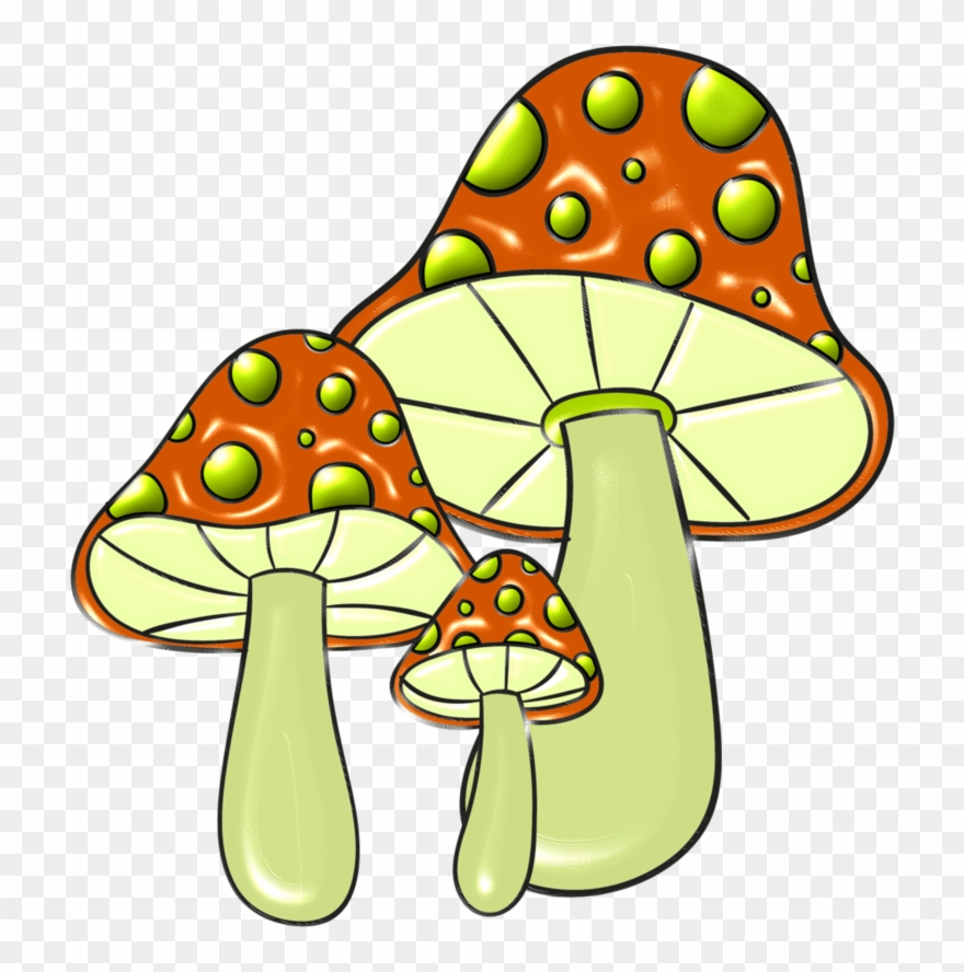 Snail - Fungus Clipart