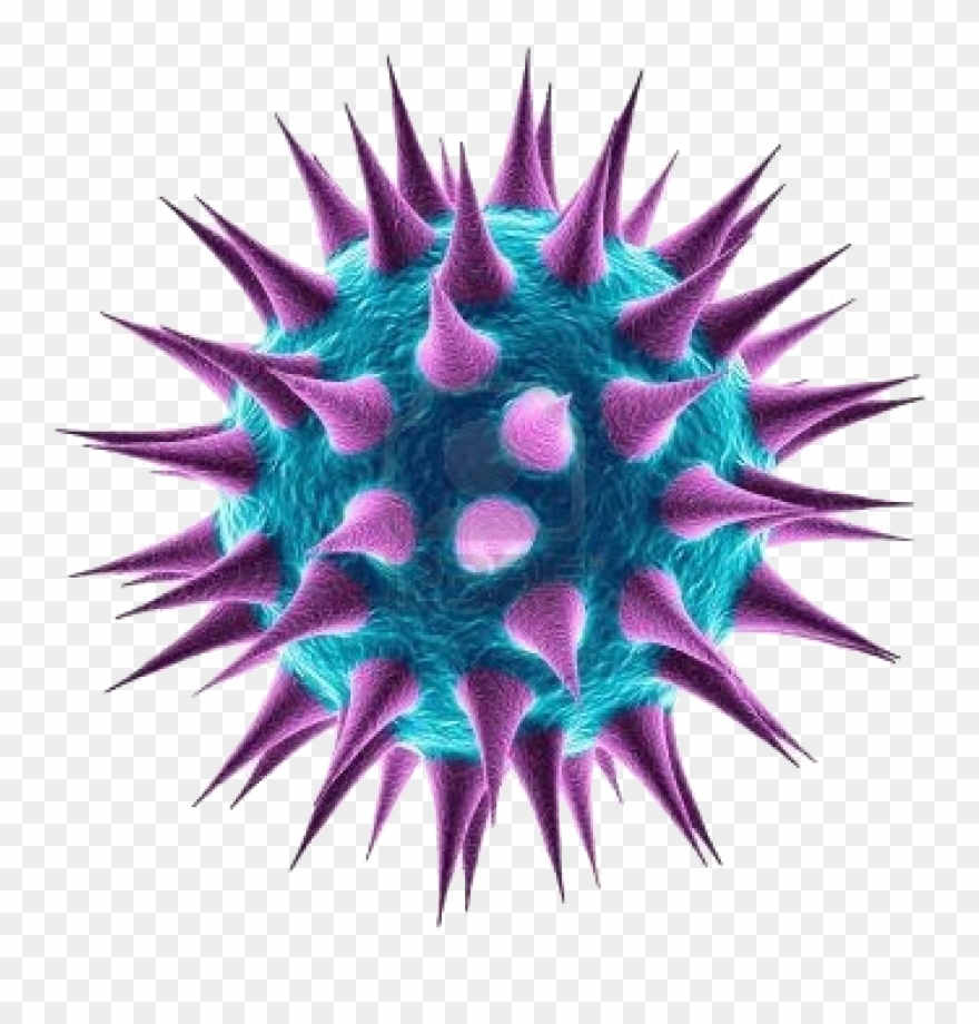 Bacteria Png Bacteria Png Png All - Sequela [book] Clipart