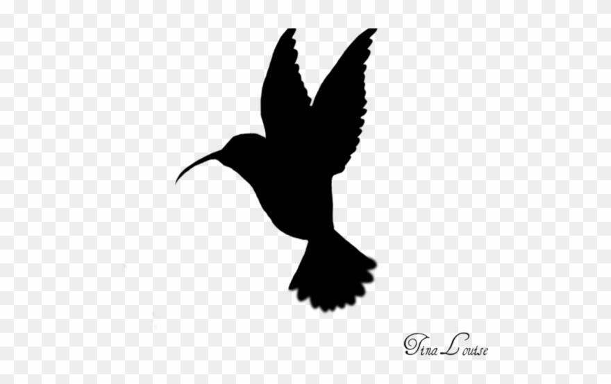 Hummingbird Clipart Humming Bird - Hummingbird Clip Art Black And White - Png Download