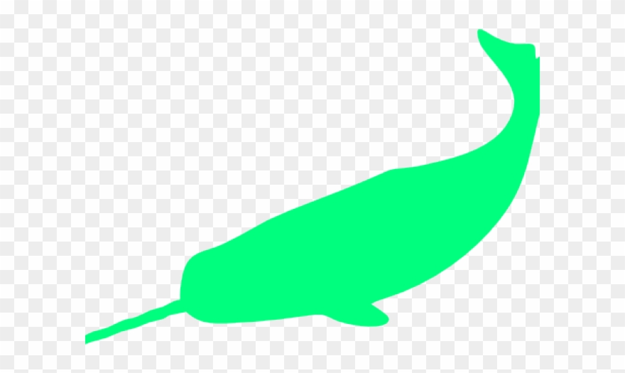 Narwhal Clipart Green - Silueta Narval - Png Download