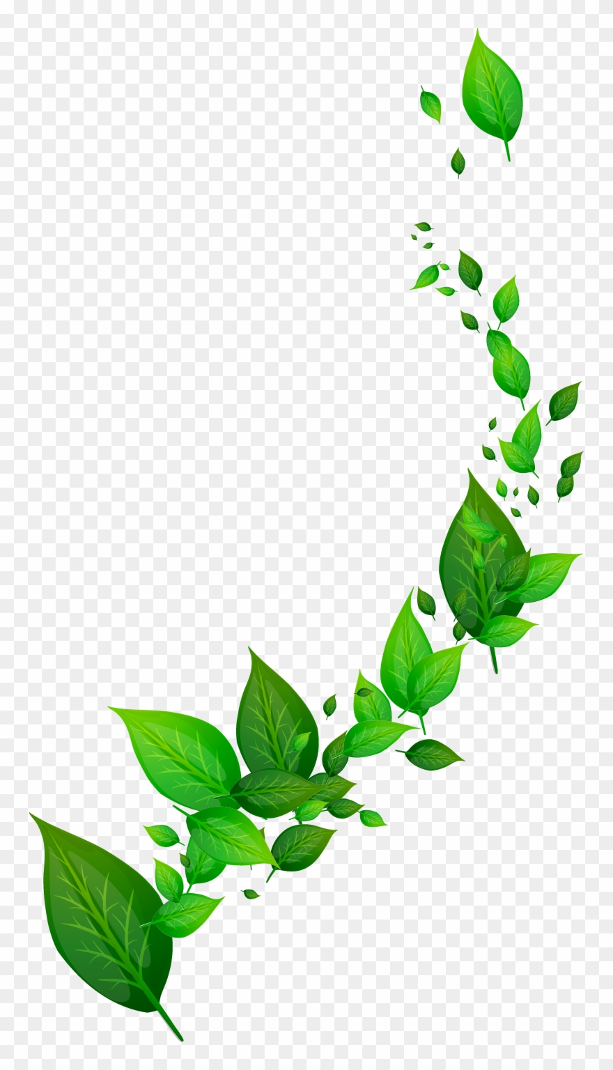 Leaf Dynamic Free Frame - Good Afternoon Wishes Clipart