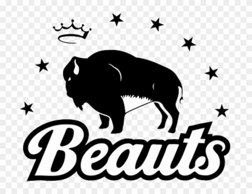 Beauts Back At Harborcenter To Host Whale - Nwhl Buffalo Beauts Clipart