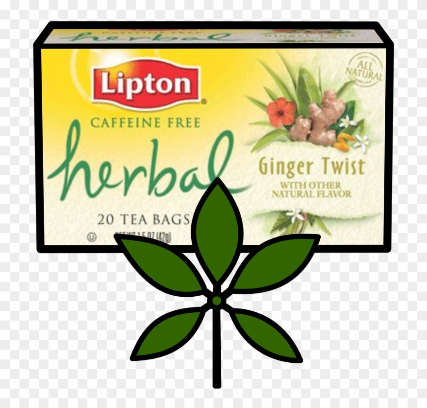 Herbal Tea - Lipton Herbal Tea Bags, Ginger Twist - 20 Tea Bags, Clipart
