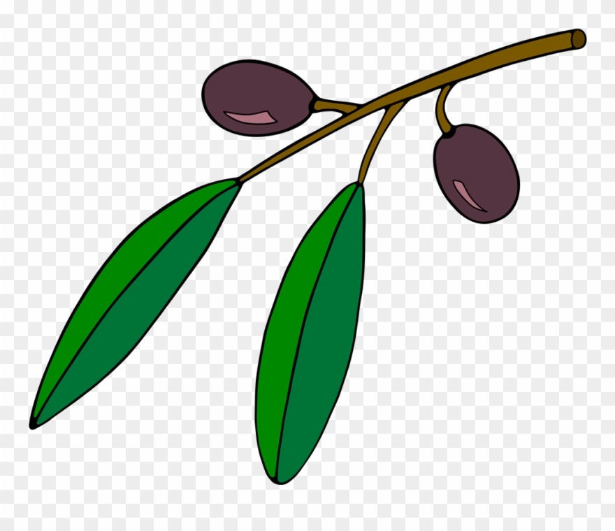 Games With The Oil Association Of Cretan - Olive Branch Clip Art - Png Download