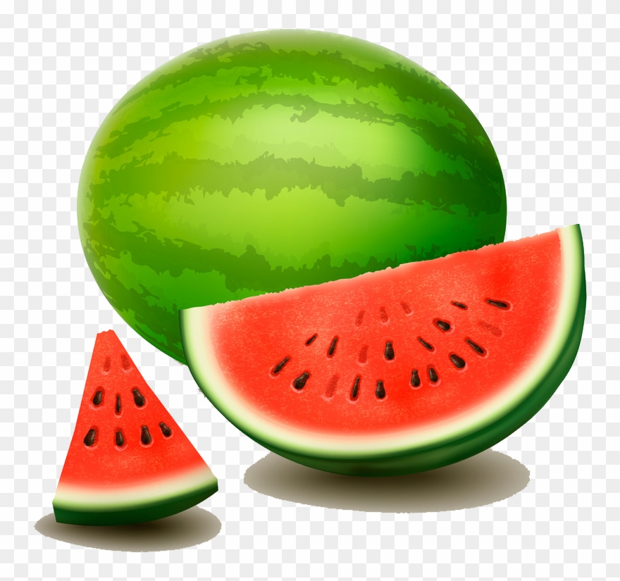 Citrullus Lanatus Drawing Photography Watermelon Illustrator - Big Watermelon Drawing Clipart
