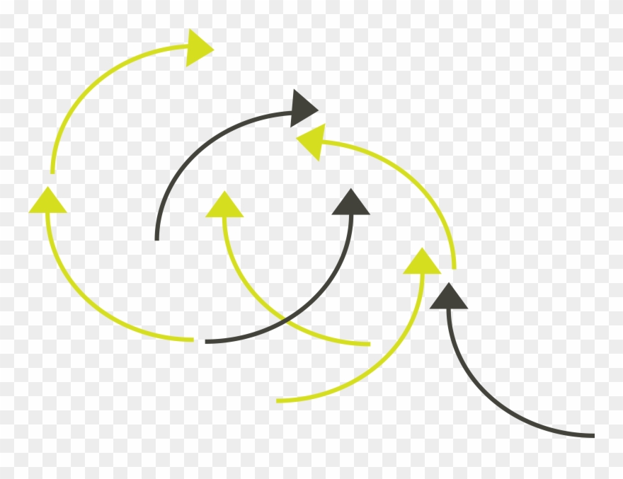 Transfer Of Energy - Transparent Food Web Clipart