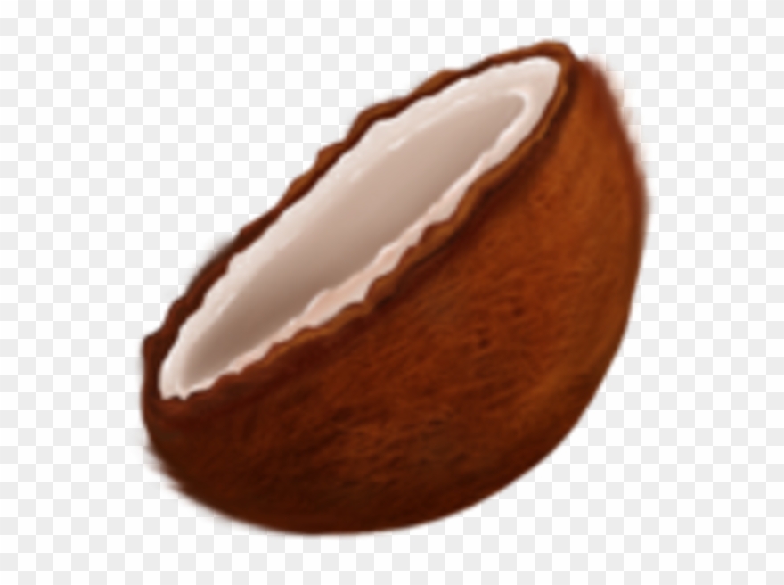 Coconut Clipart