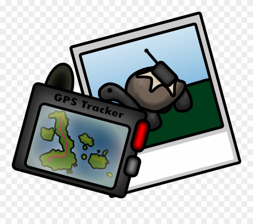 Tortoise Trackers Clipart