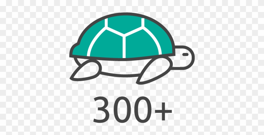 There Are More Than 300 Unique Species Of Wildlife - Tortoise Clipart