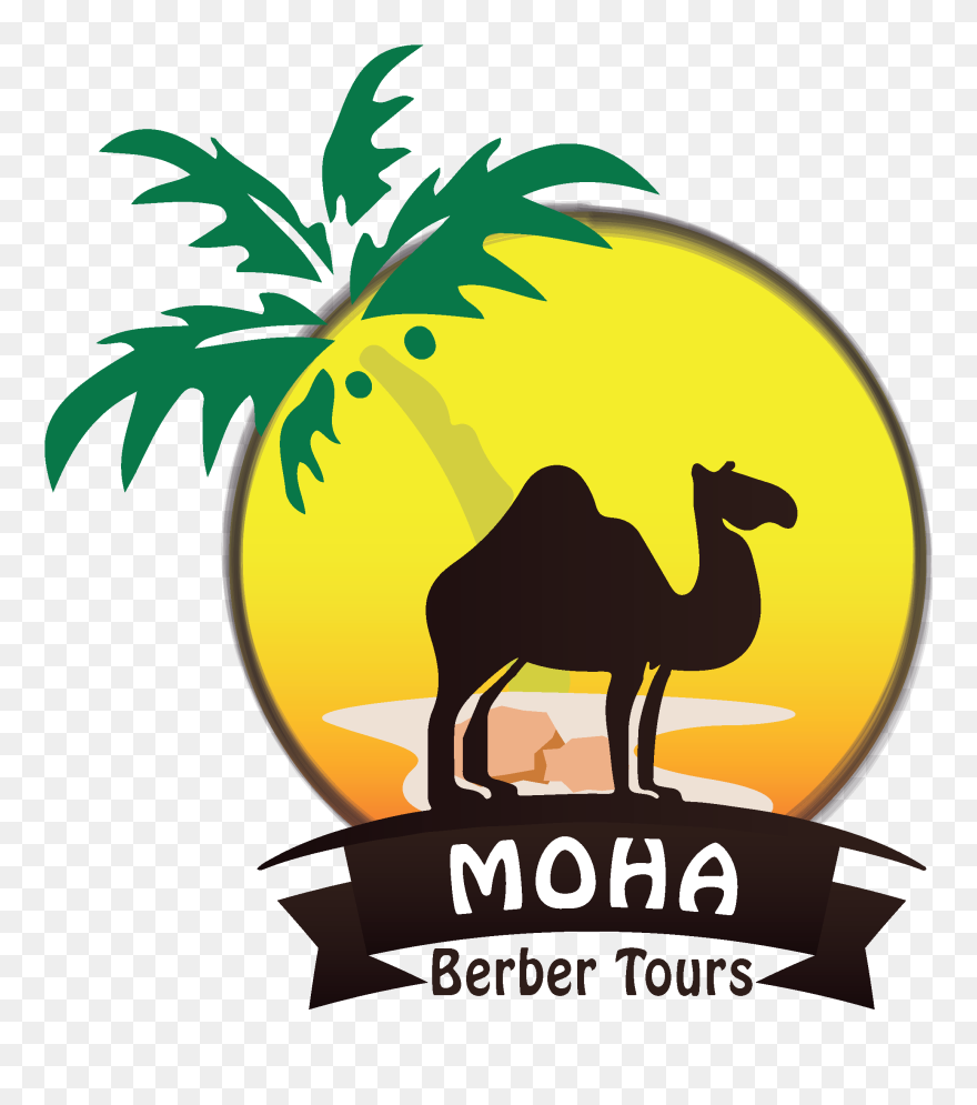 Moha Berber Tours - Camel Clipart