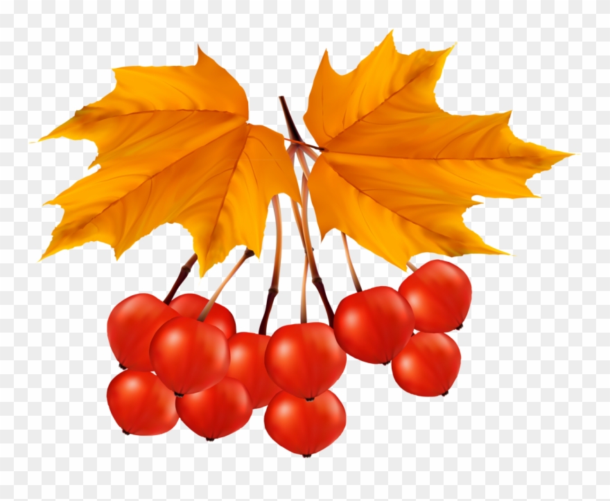 October Images Clip Art - Clip Art - Png Download