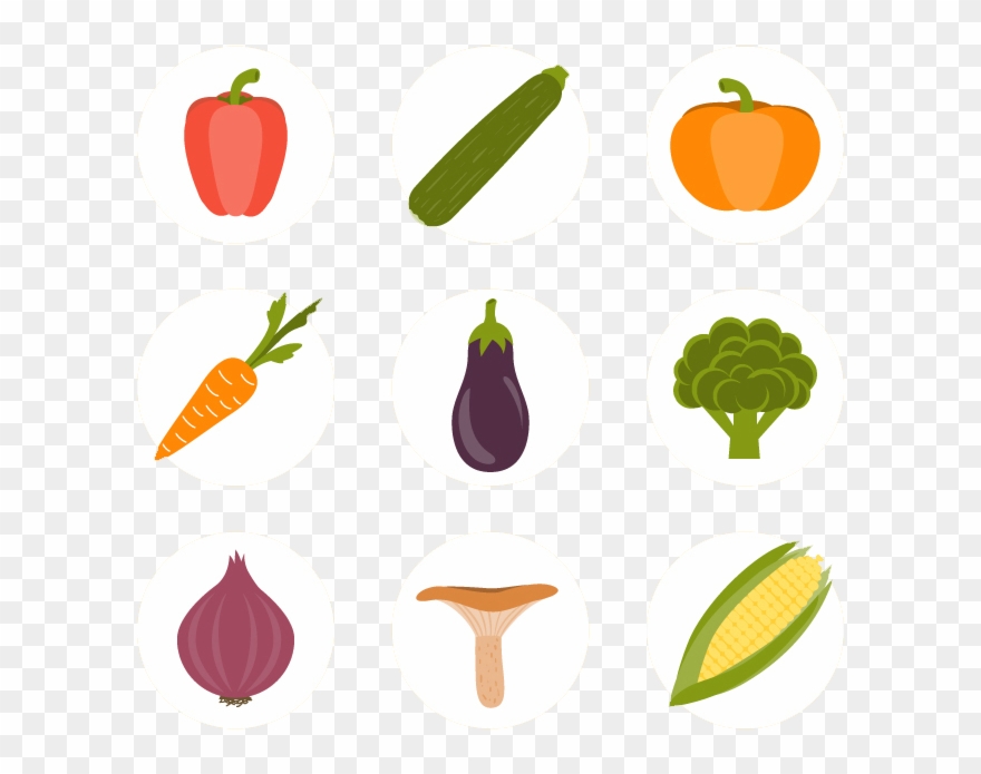 Maize Euclidean Vector Corncob Icon - Food Clipart