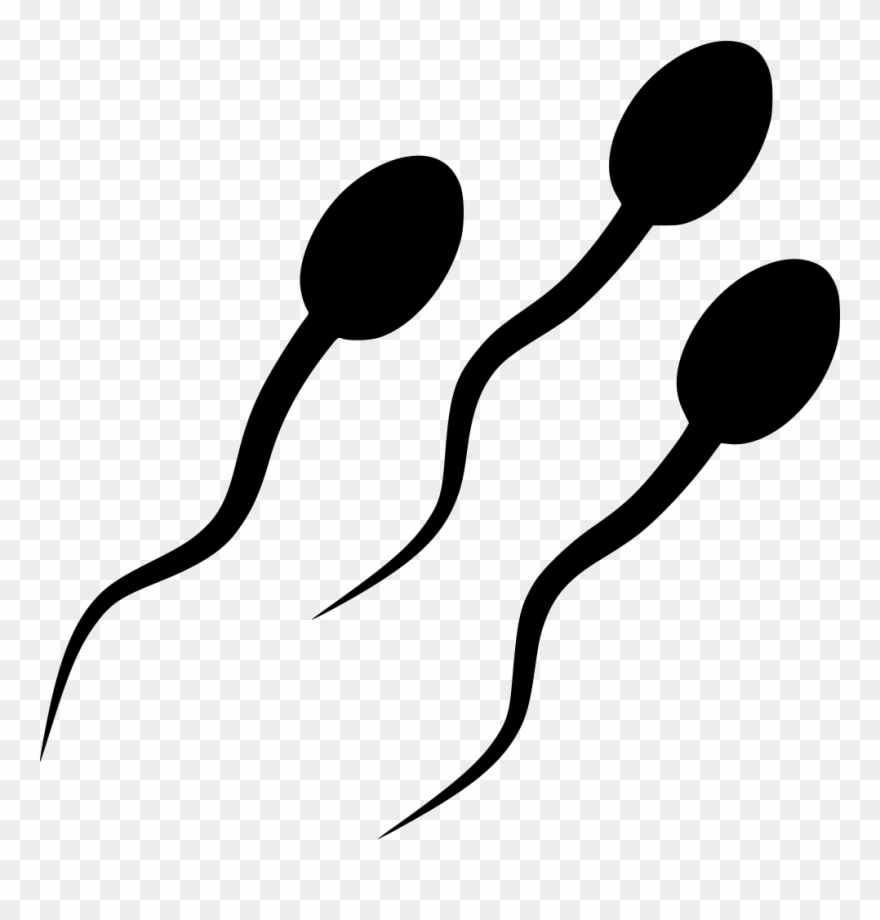 Sperm Png Clipart