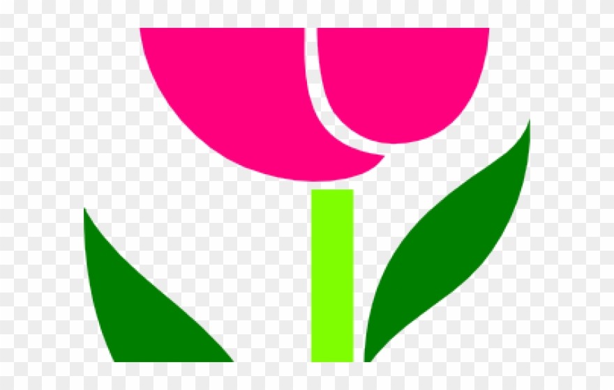 Tulip Cliparts - Clip Art - Png Download
