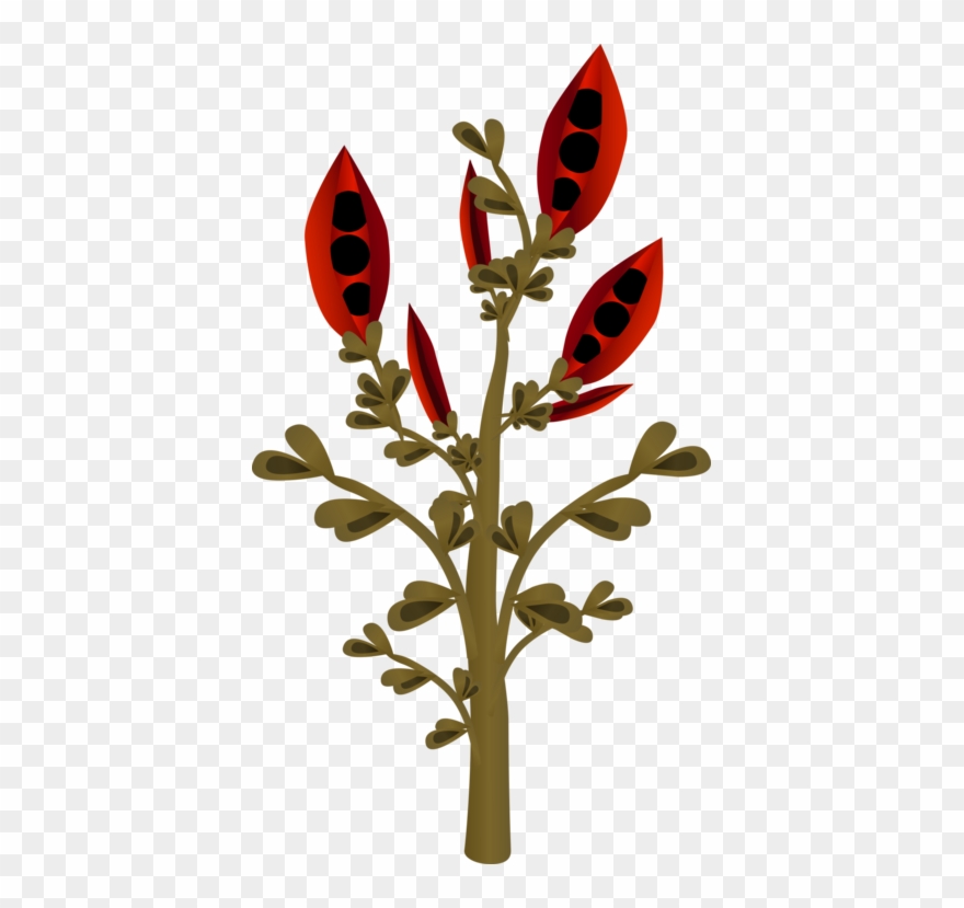 Petal Leaf Flower Floral Design - Flower Clipart