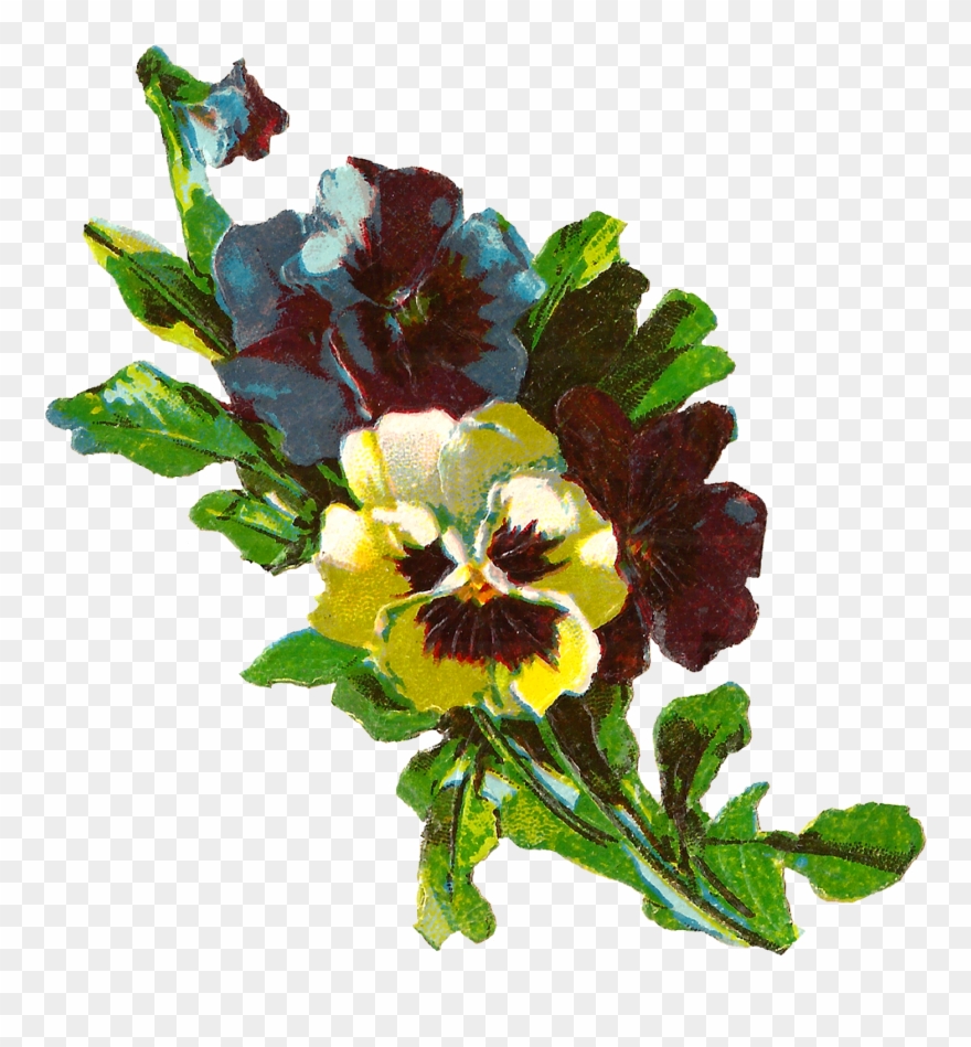 The Yellow, Blue, And Purple Pansies Clustered Together Clipart