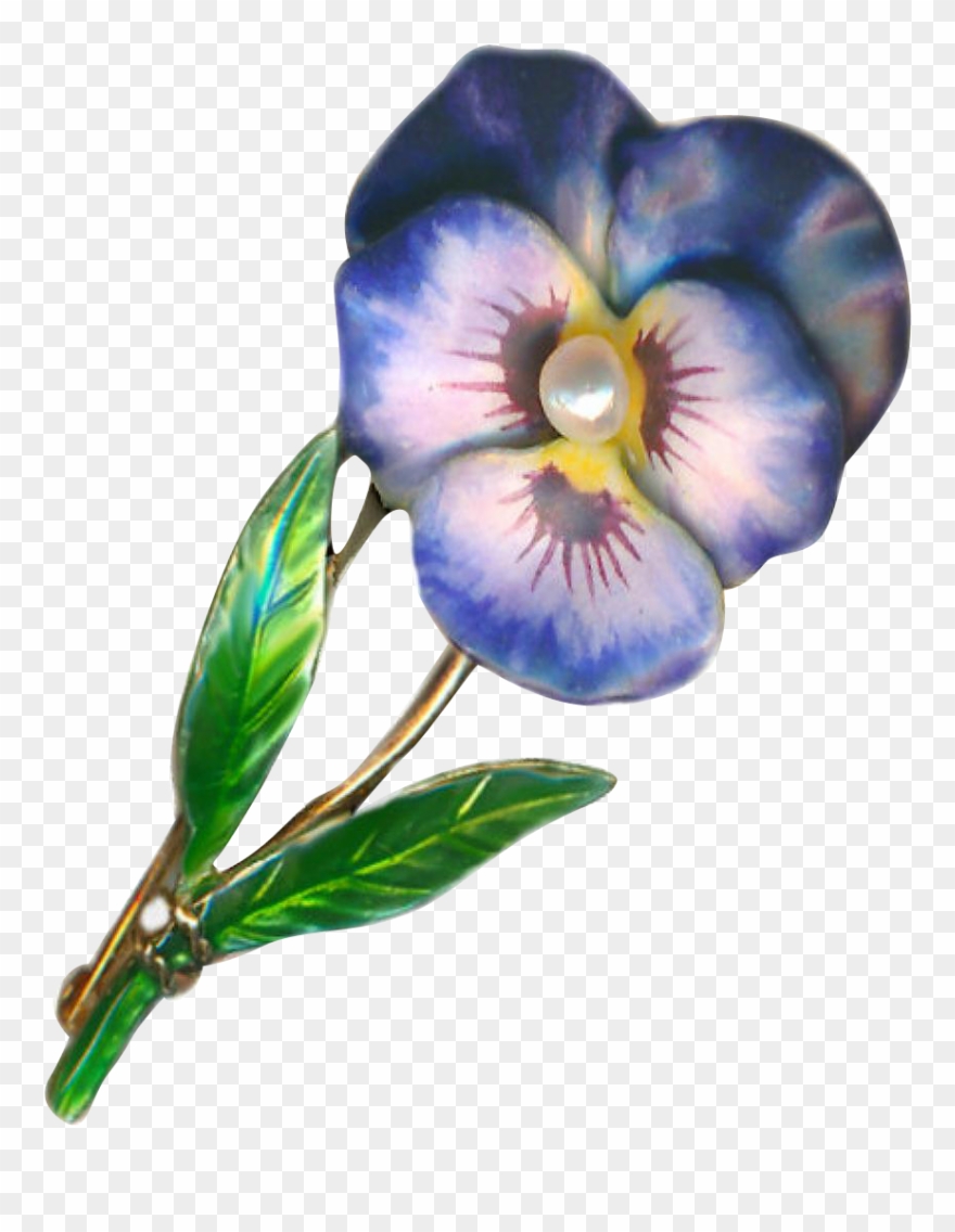 Brooch ~ Early 20th C Clipart