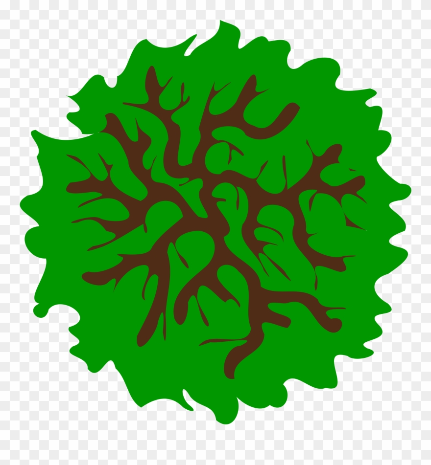 Tree - Clip Art - Png Download
