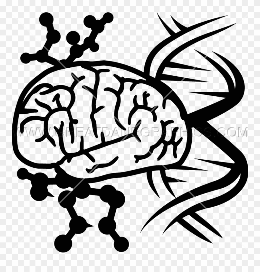 Brain Cells Clipart Dna Production Ready Artwork For - Dna Brain - Png Download