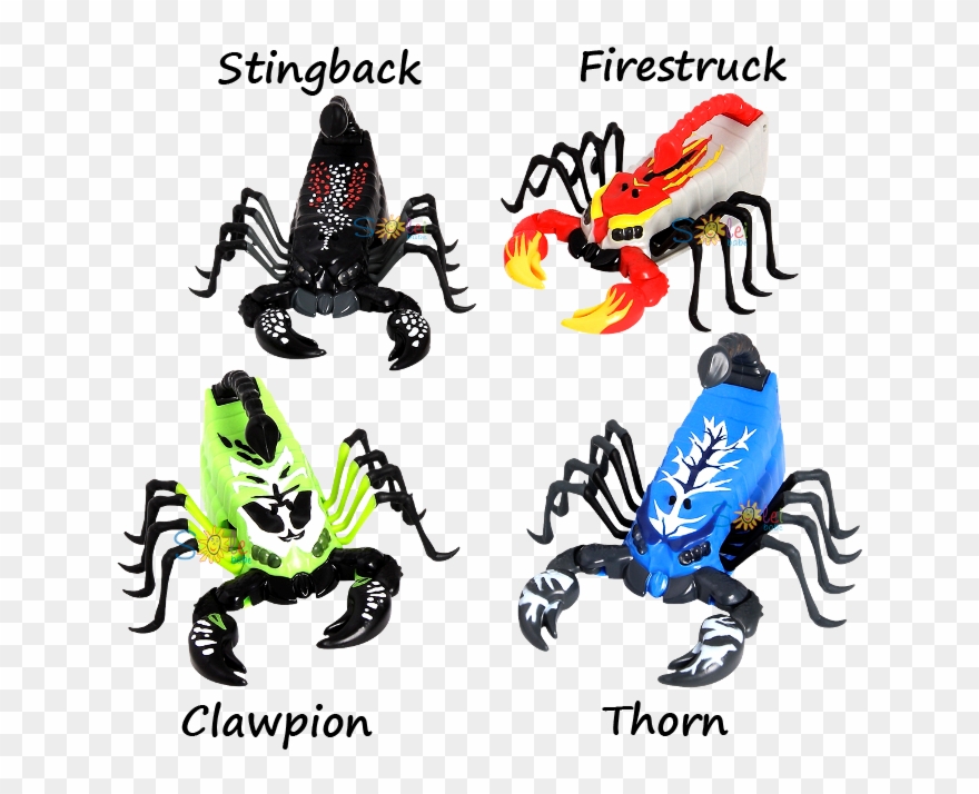 Directory Listing For /moje/aukcje/cobi/wild Pets/scorpion/ - Baby Club Clipart