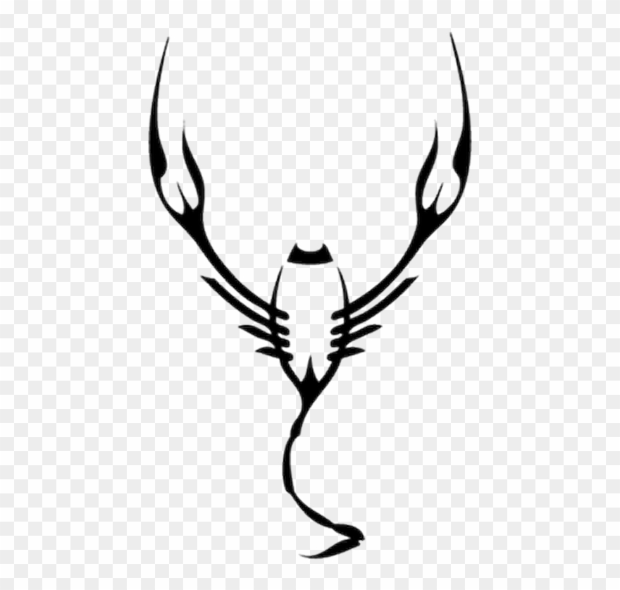 Scorpion Tattoos For Girls Clipart