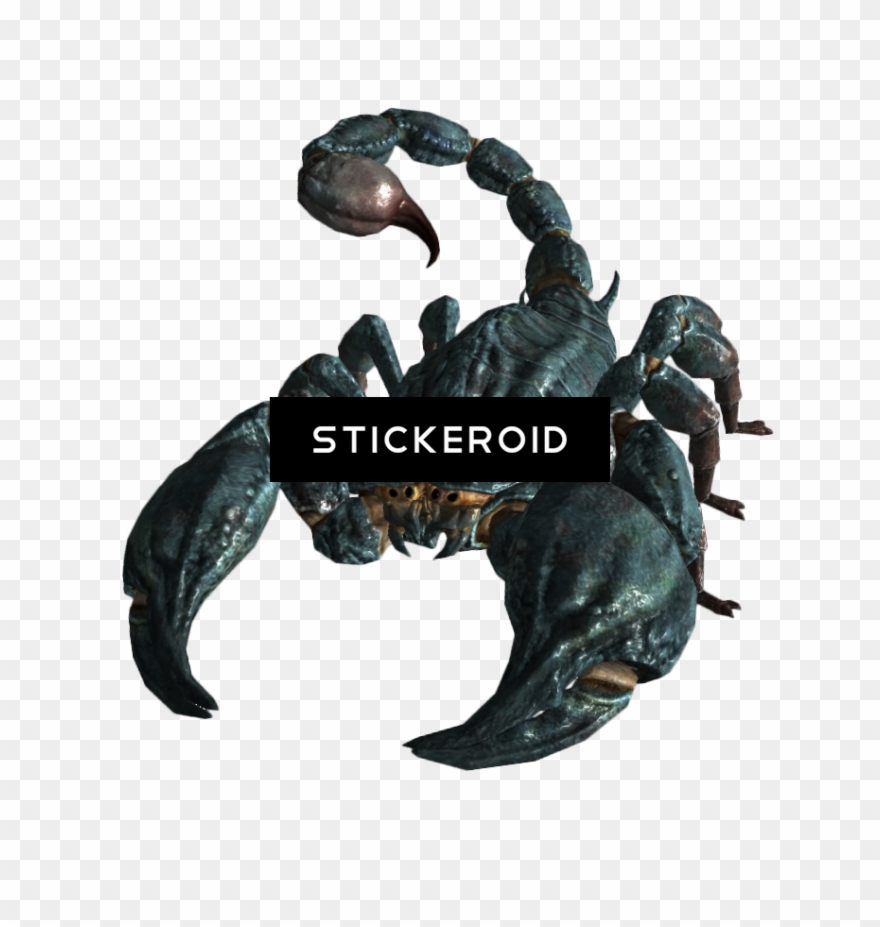 Scorpion Insects Scorpions - Fallout 3 Radscorpion Clipart