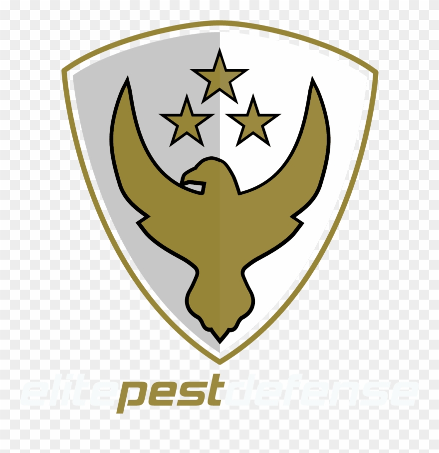 Cockroach Services - Mud Dauber Clipart