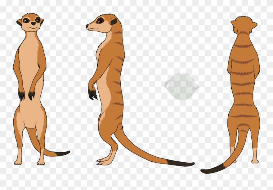 Meerkat Clipart Clip Art - Mongoose Drawing Easy - Png Download