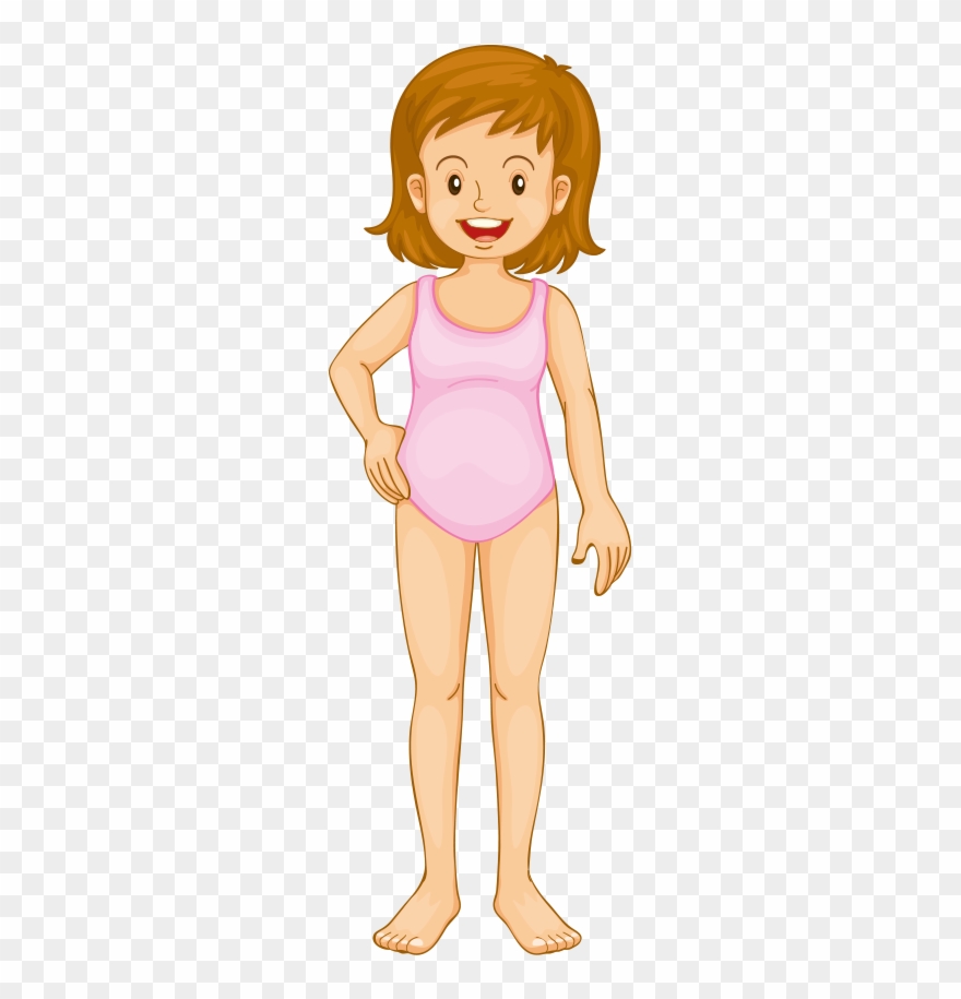 Close - Anatomy And Physiology For Kids! The Human Body And Clipart