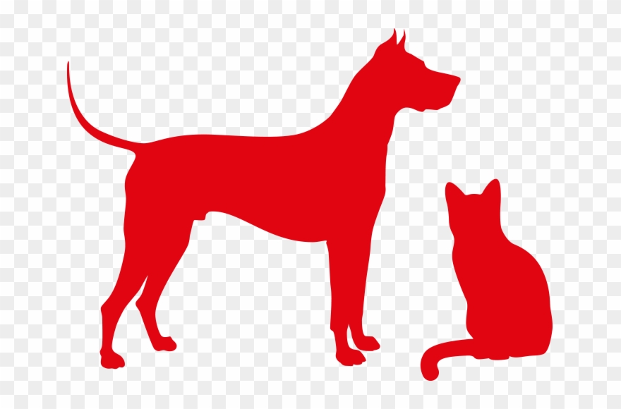 Trova Allevatore - Dog Clipart