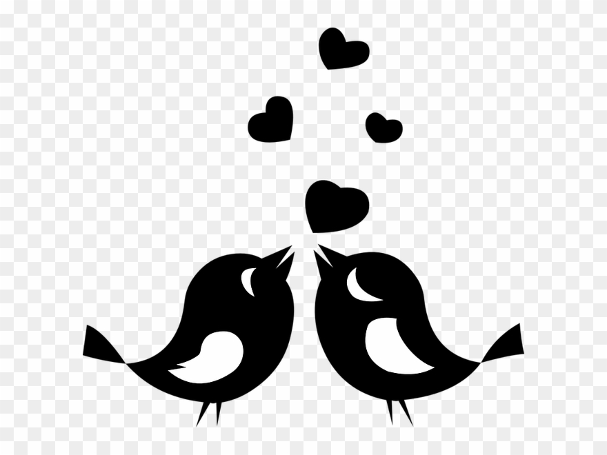 Blog Love Birds - Love Birds Black And White Clipart