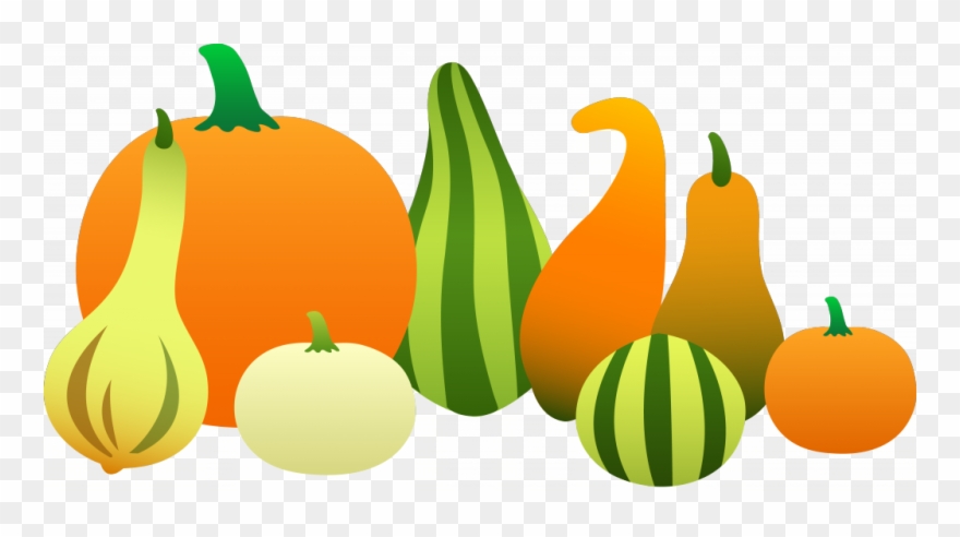 Thanksgiving Gourds1-1024x527 - - Gourd Clipart - Png Download