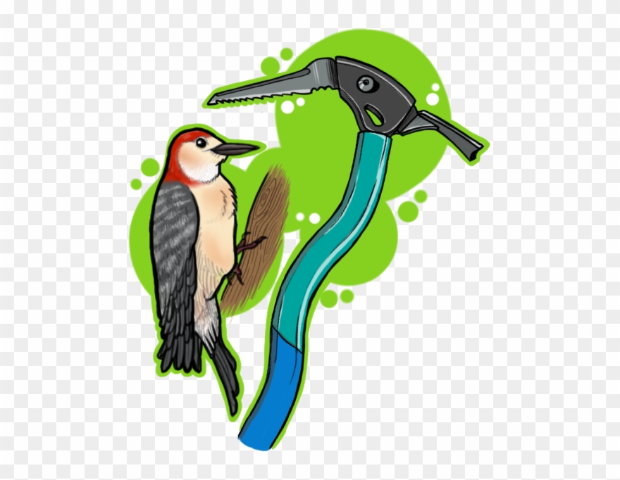 Great Ideas Are Everywhere - Black Skimmer Clipart