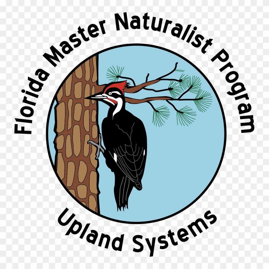 Picture - Florida Master Naturalist Clipart