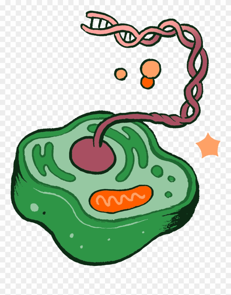 Matteo Farinella Clipart