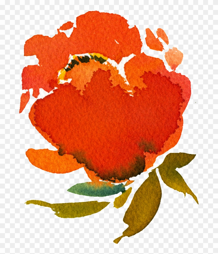 Hand Painted Orange Red Rendering Flower Png Transparent - Orange Clipart