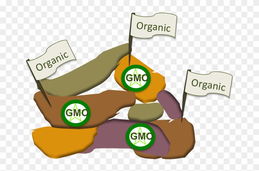What Is A Gmo - Cartoon Clipart