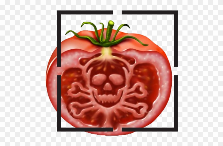 Focus On Food Ep - Food Safety Management In China: A Perspective Clipart