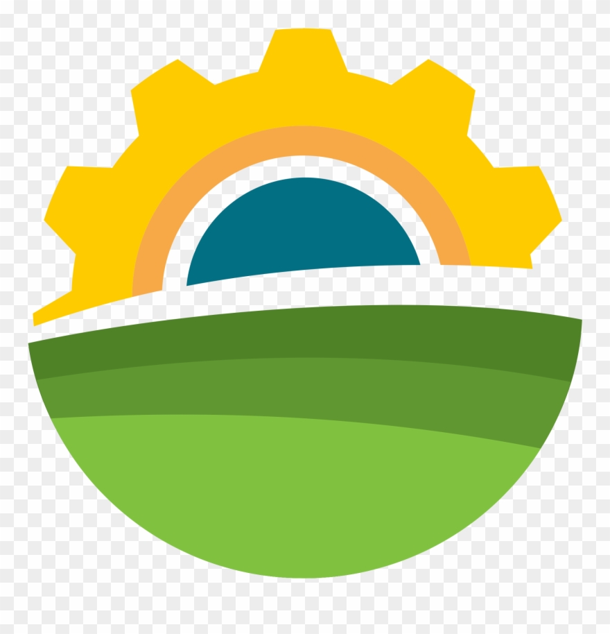 Yellow Corn For Animal Feed ,ukraine High Quality,non - Yellow Clipart