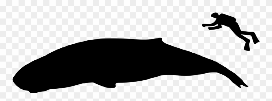 Open - Whale Size Clipart