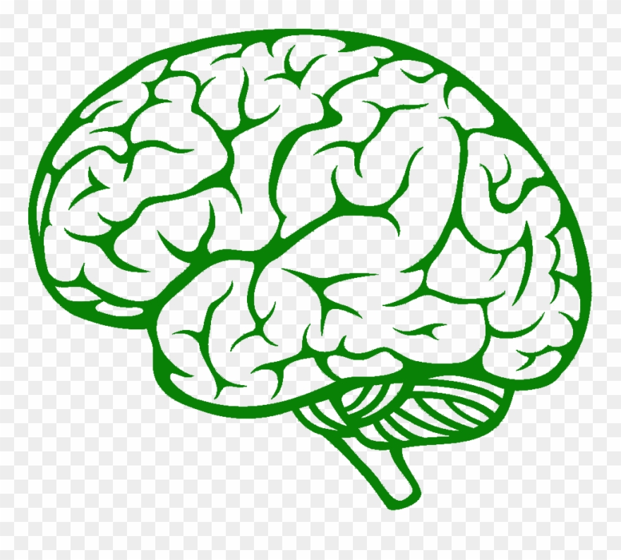 Brain Side View Vector Clipart
