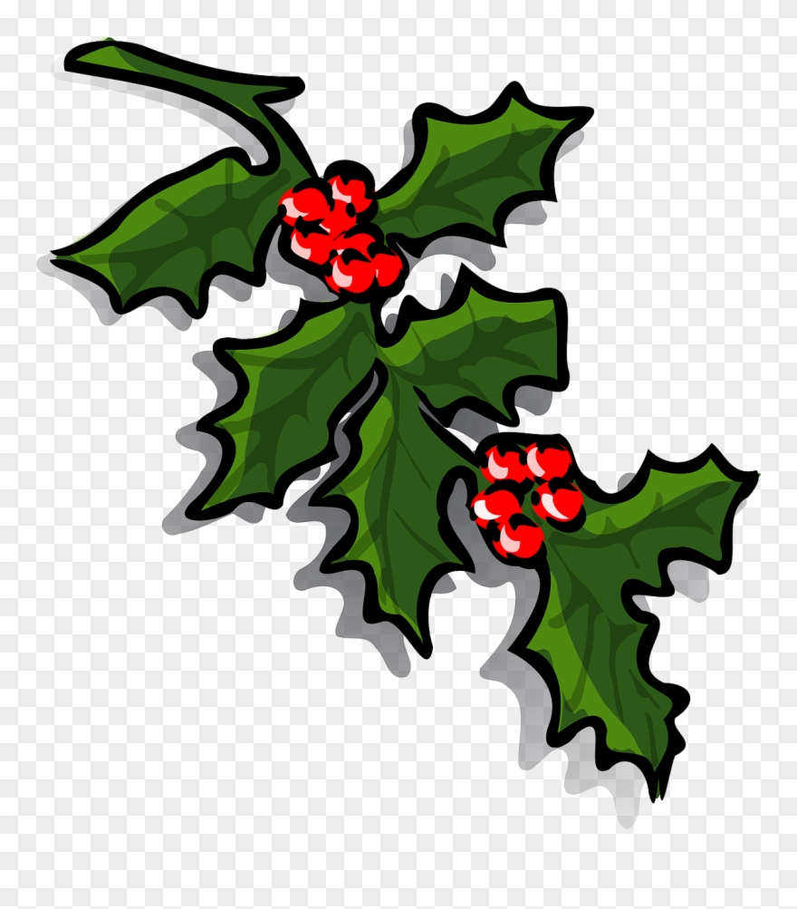 Holly,holly Berries,christmas,holly Leaves,holly Tree,free - Christmas Holly Clip Art - Png Download
