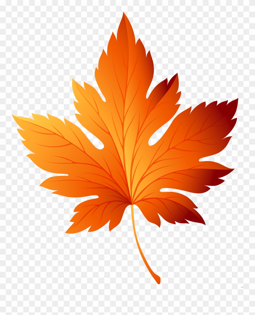 Leaf Clipart Clear Background - Png Download