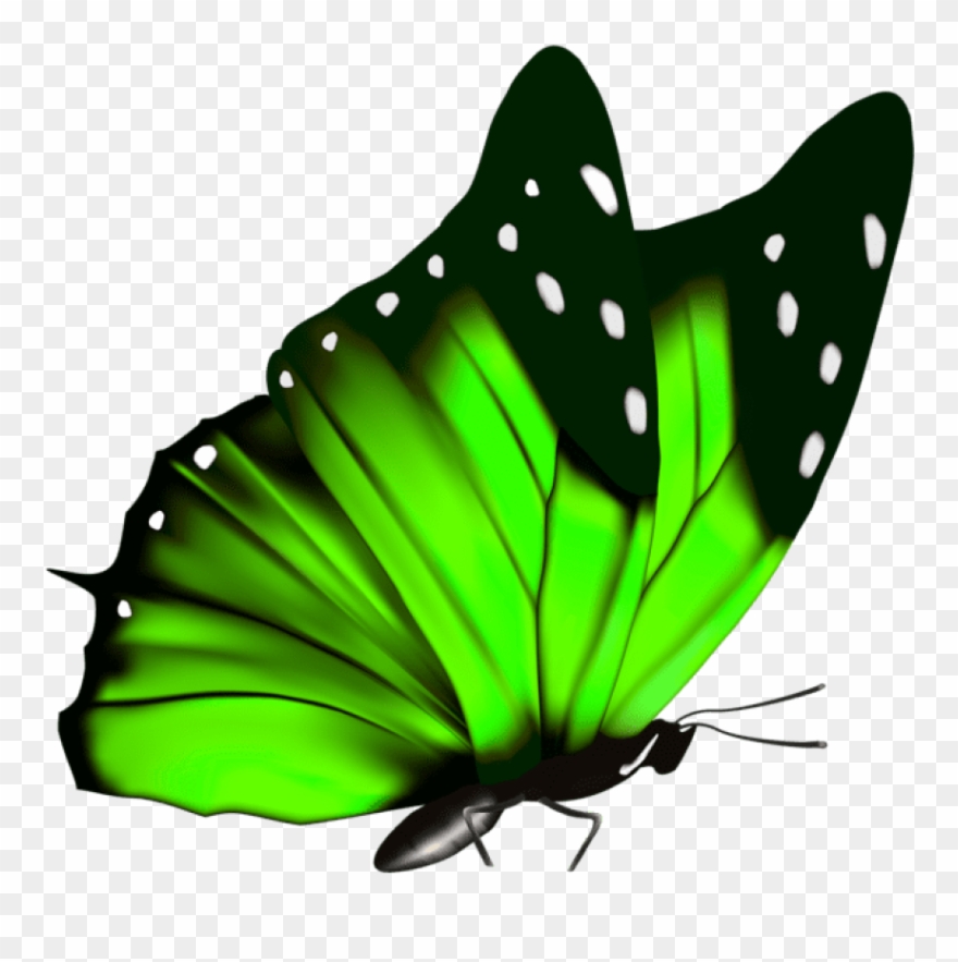 Download Green Butterfly Clipart Png Photo - Green Butterfly Transparent Background