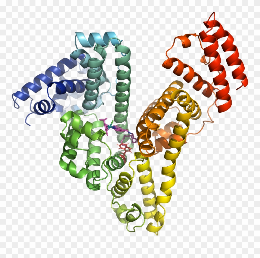 Gilles Berger - Bead Clipart