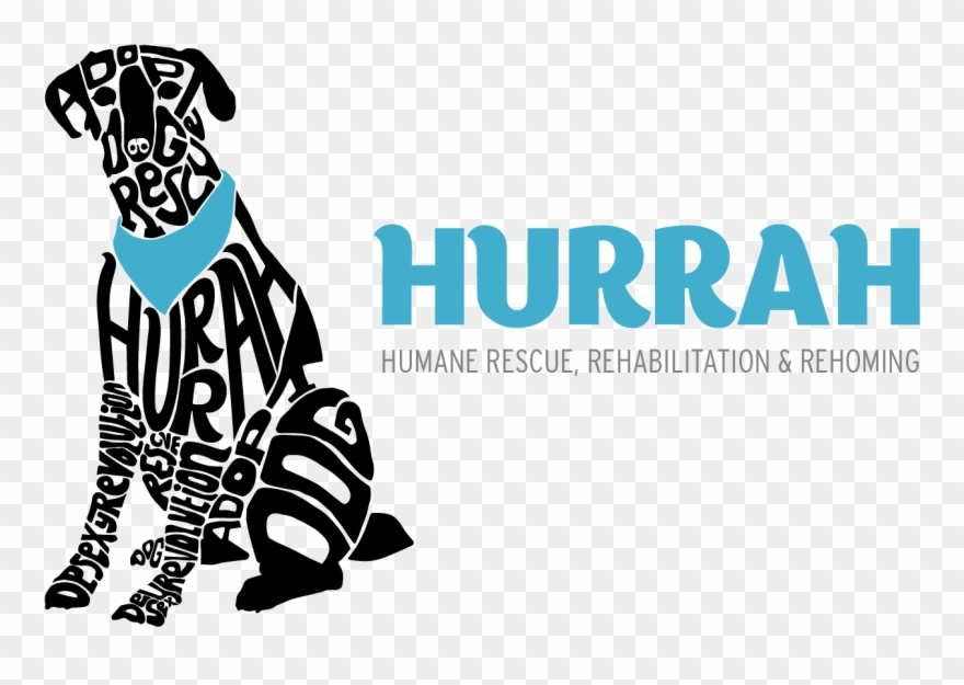 Pet Rescue Giving Animals A Second Chance At Life Rescuers - Animal Rescue Nz Clipart