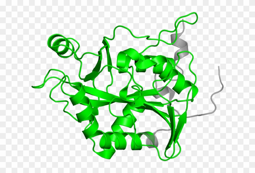 Illustration Clipart