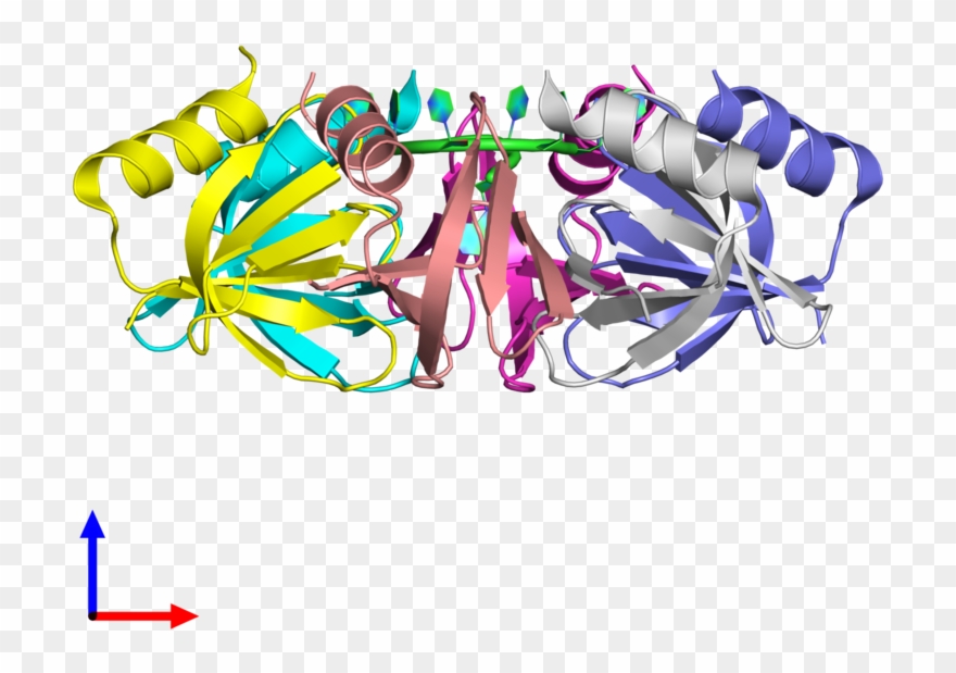 Protein Data Bank Clipart