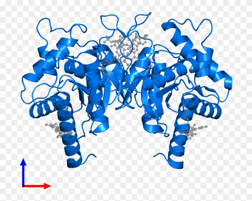 Protein Data Bank Clipart